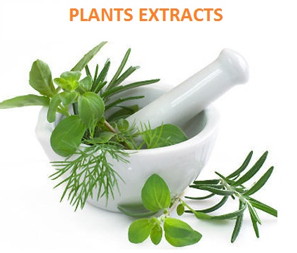 plants extracts manufacturers